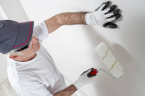 Best Mold Documentation for Insurance Claims  in Brunswick, MD