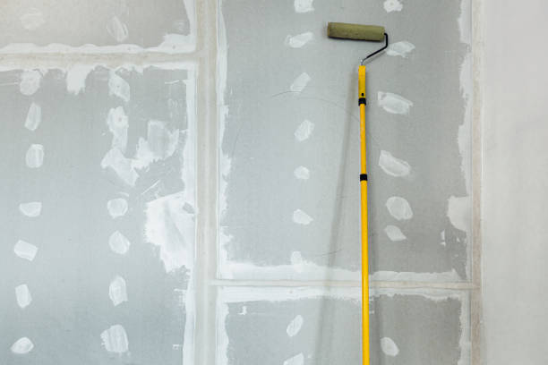 Best Mold Removal for HVAC Installations  in Brunswick, MD