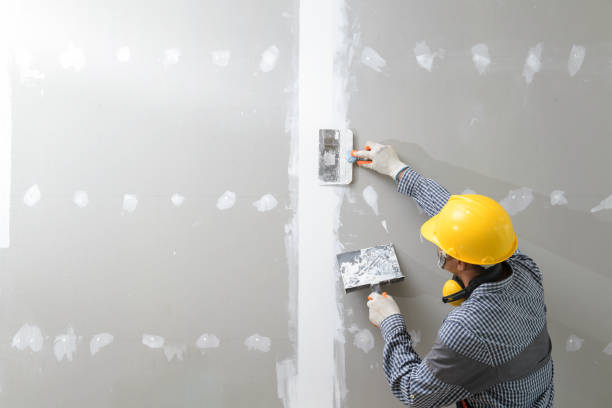 Best Post-Construction Mold Inspection  in Brunswick, MD