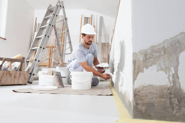 Best Mold Removal for HVAC Installations  in Brunswick, MD