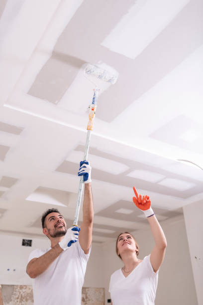 Best Commercial Mold Inspection  in Brunswick, MD
