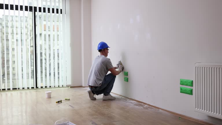 Best Mold Damage Restoration  in Brunswick, MD