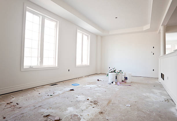 Best Basement Mold Removal  in Brunswick, MD
