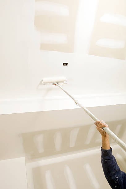 Best Real Estate Mold Inspection  in Brunswick, MD