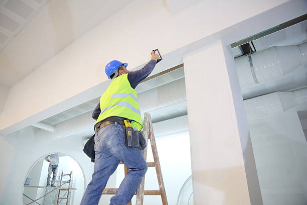 Best Residential Mold Inspection & Testing  in Brunswick, MD