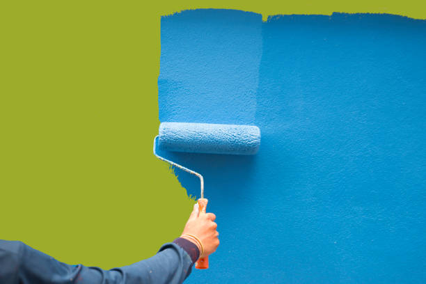 Best Air Quality Testing for Mold Spores  in Brunswick, MD